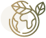 Sustentabilidade Sustentabilidade